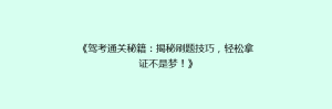 《驾考通关秘籍：揭秘刷题技巧，轻松拿证不是梦！》